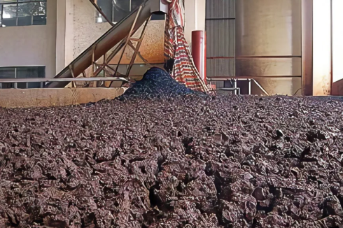 活性污泥常見(jiàn)異常形態(tài)的識(shí)別